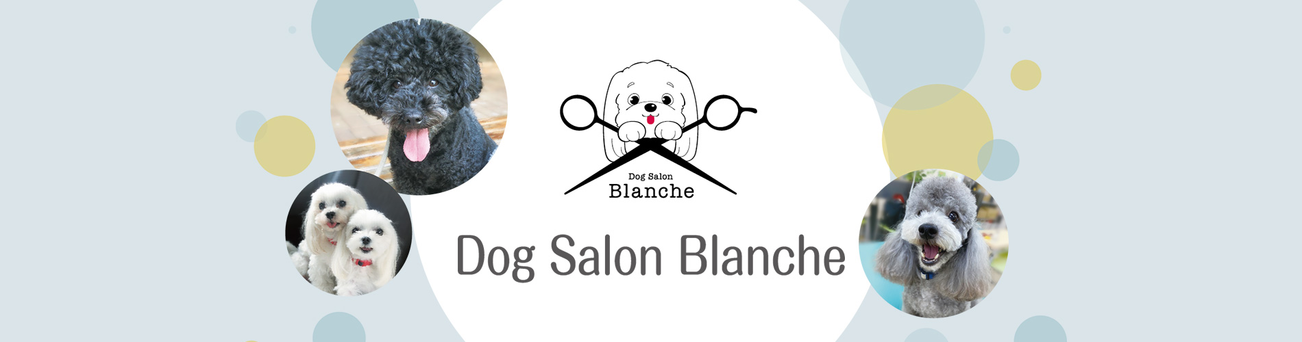 Dog Salon Blanche