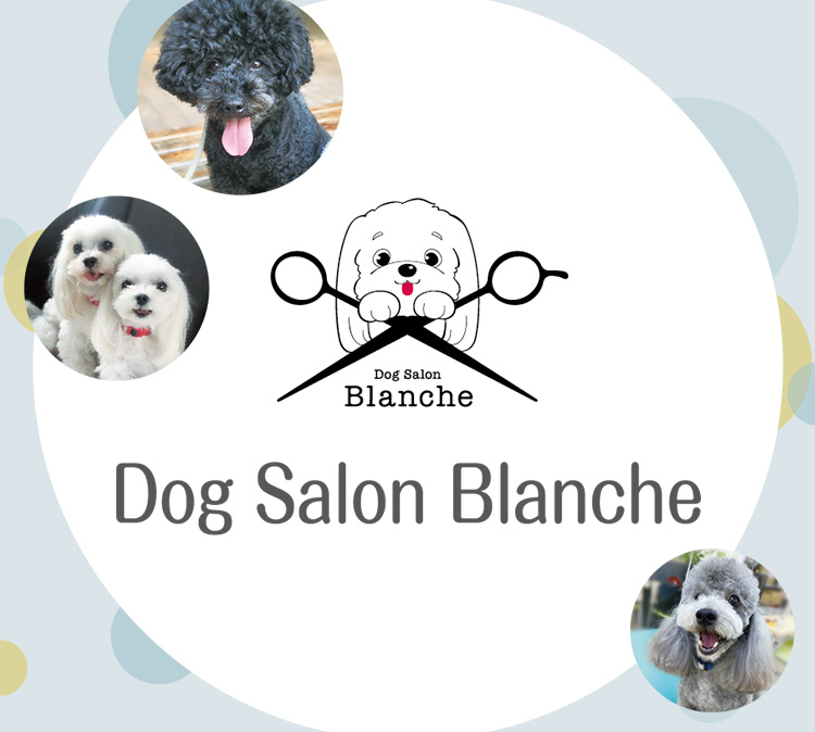 Dog Salon Blanche